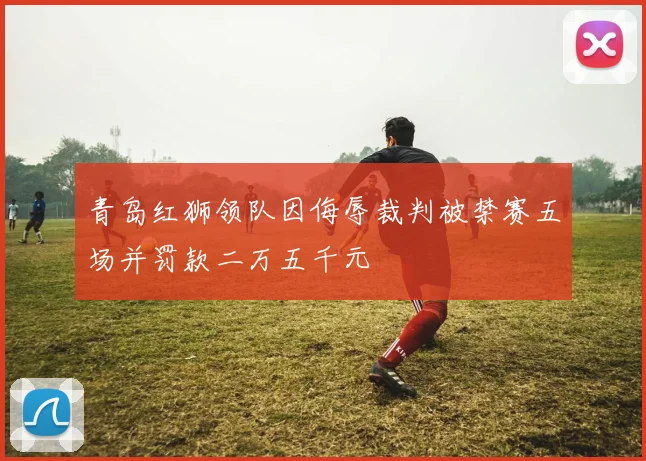 青岛红狮领队因侮辱裁判被禁赛五场并罚款二万五千元