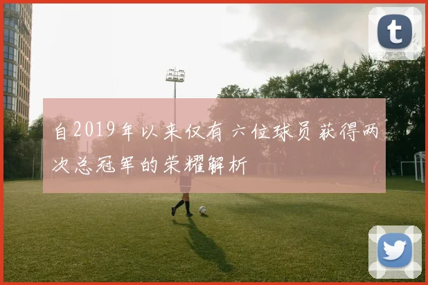 自2019年以来仅有六位球员获得两次总冠军的荣耀解析