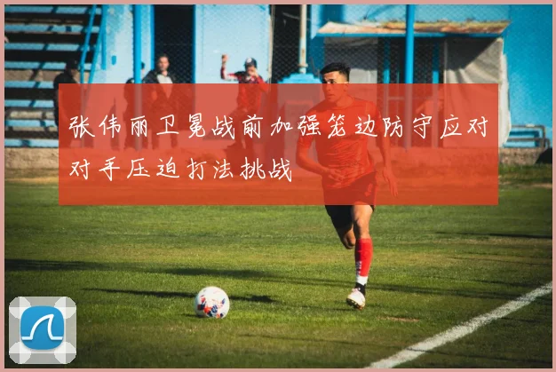 张伟丽卫冕战前加强笼边防守应对对手压迫打法挑战